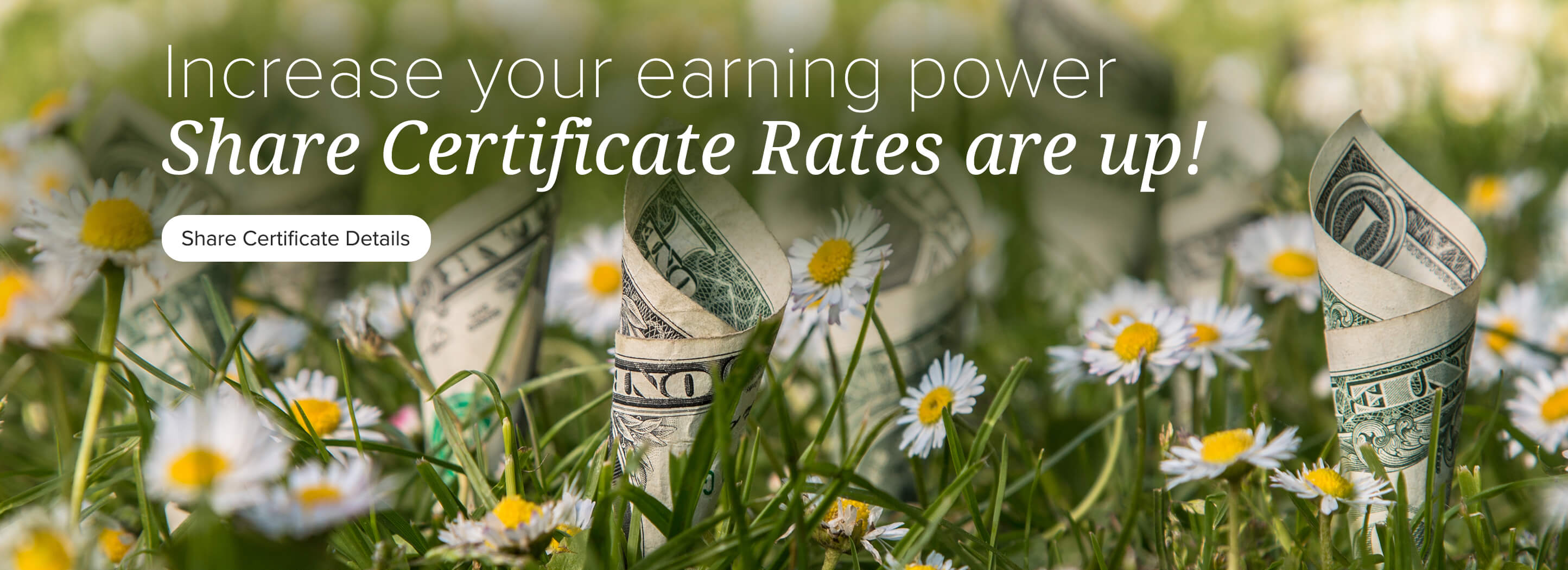 Increase your earning power. Share Certificate Rates are up! Share Certificate Details.