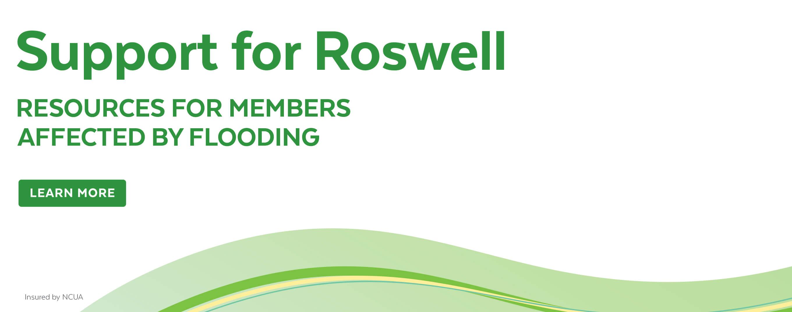 Roswell Flood Support