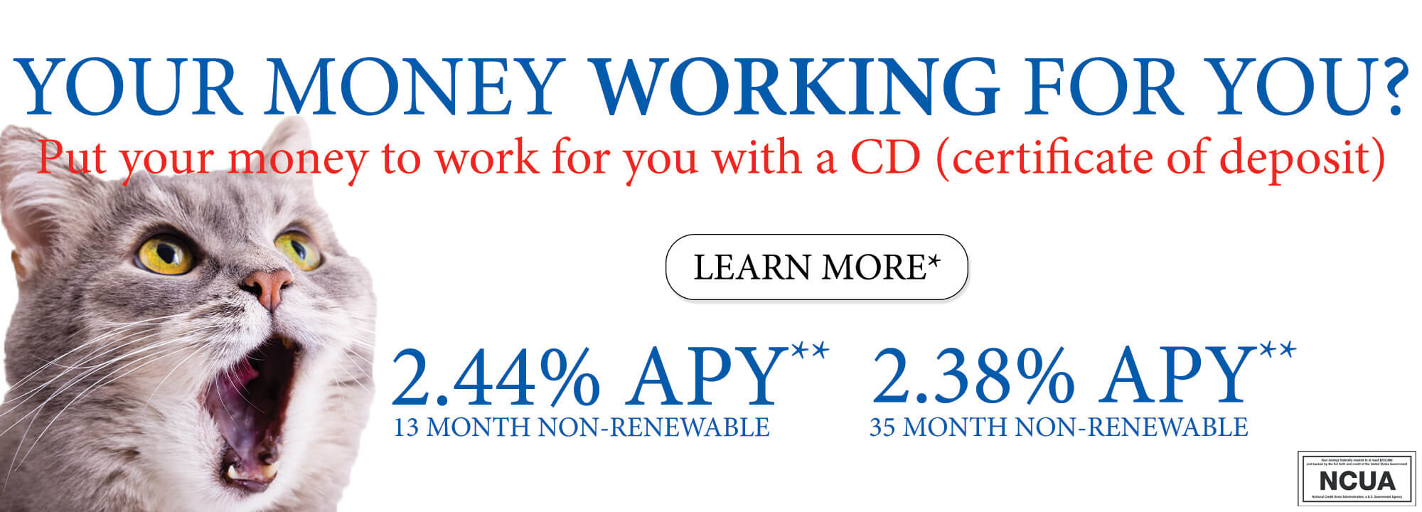 Your money working for you? Put your money to work for you with a CD (certificate of deposit) 2.44% APY** 2.38% APY** *learn more