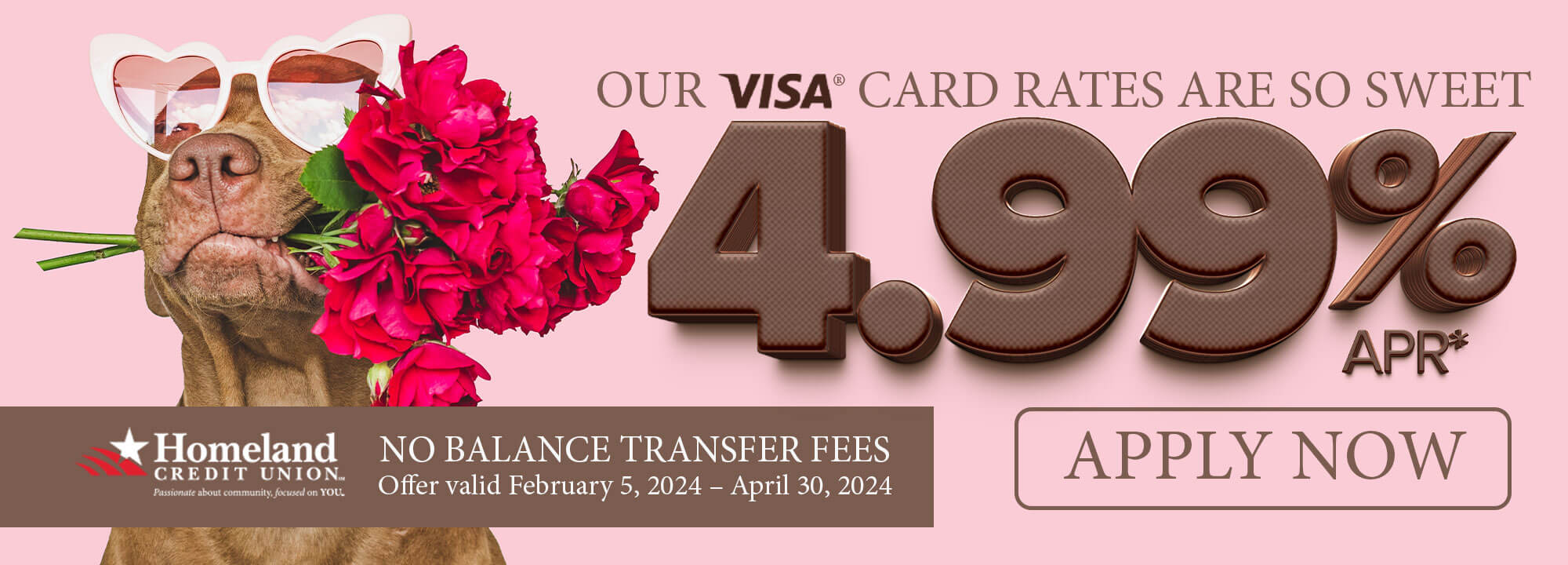 Our VisaÃƒâ€šÃ‚Â® Card Rates are so sweet. 4.99% APR* no balance transfer fees. Offer valid February 5, 2024 - April 30th, 2024. *Apply Now