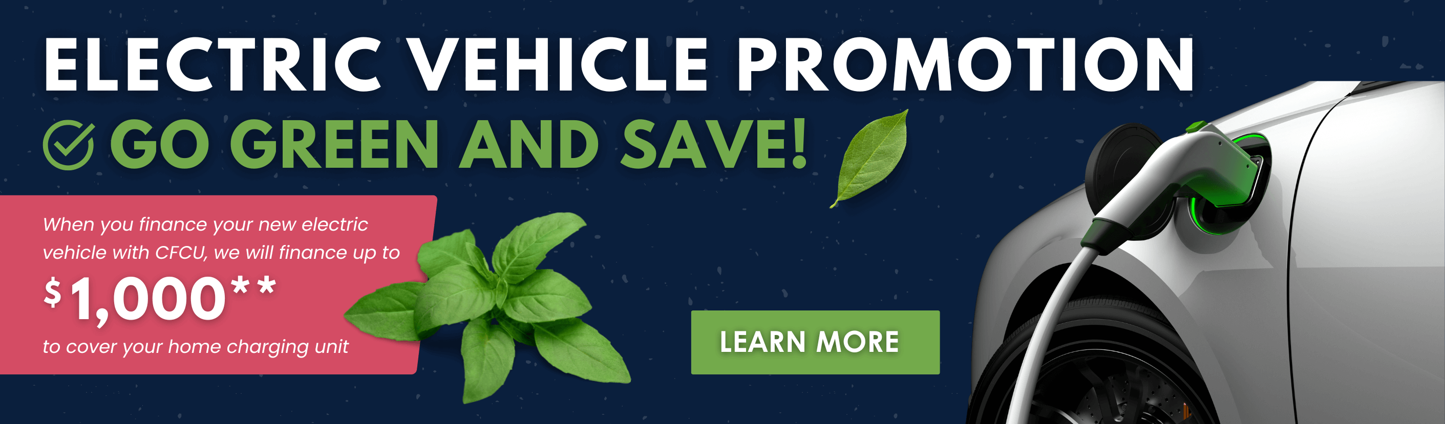 Electric Vehicle Promotion