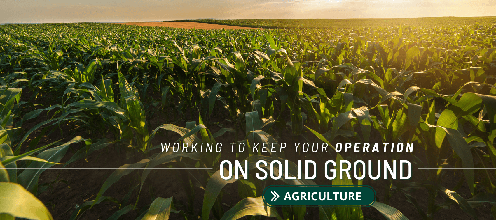 Working to keep your operation on solid ground. Agriculture