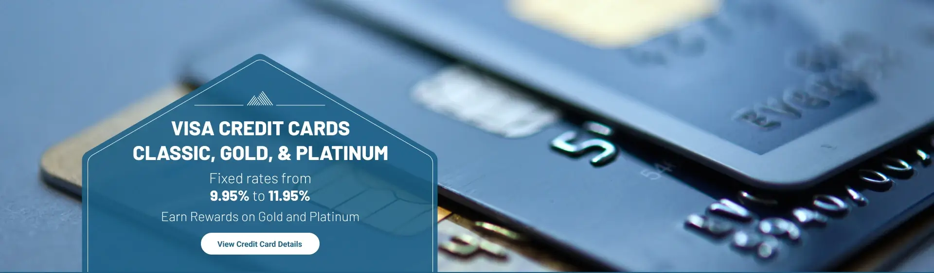 visa credit cards classic, gold, & platinum. Fixed rates fromâ€¨9.95% to 11.95% Earn Rewards on Gold and Platinum. View Credit Card Details. 