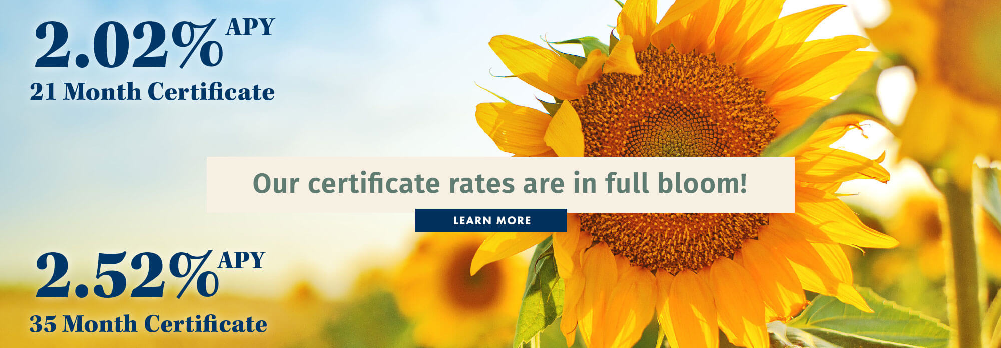 Our certificate rates are in full bloom!