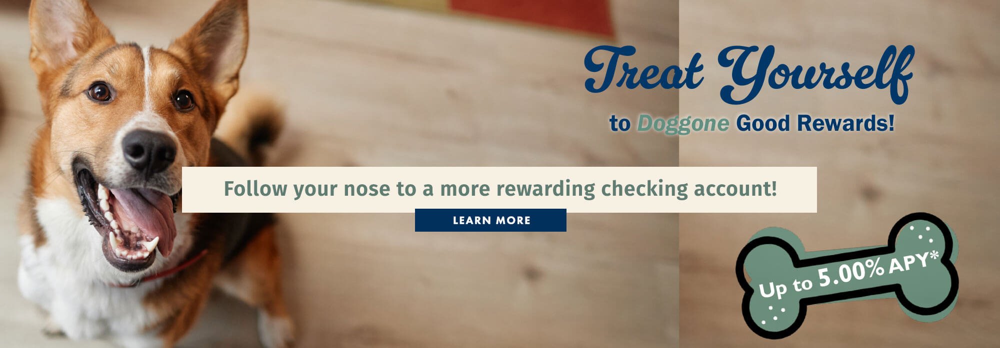 Follow your nose to a more rewarding checking account!