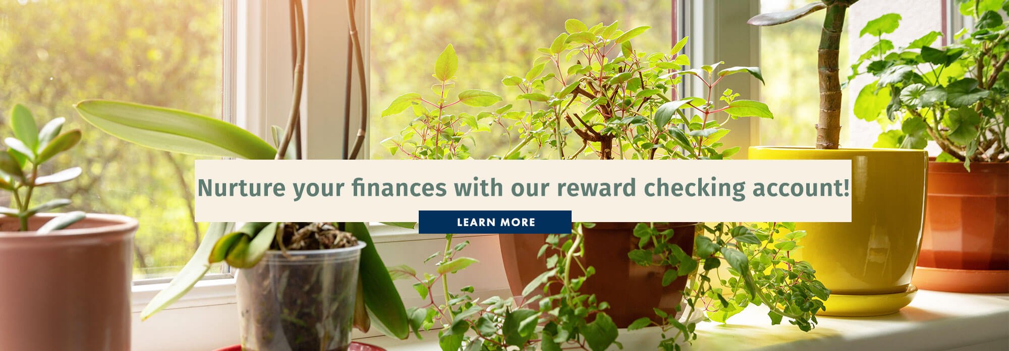 Nurture your finances with our reward checking account!