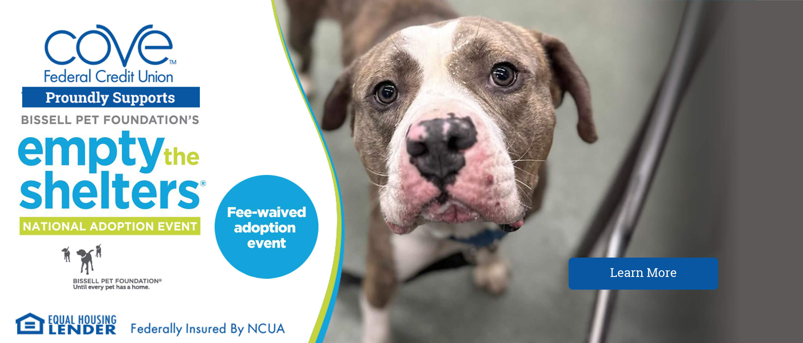 Cove Federal Credit Union is proud to support Brissell Pet Foundation's Empty the Shelters National Adoption Event. Adoption saves two lives - the adopted pet and the one who takes their place in the shelter.