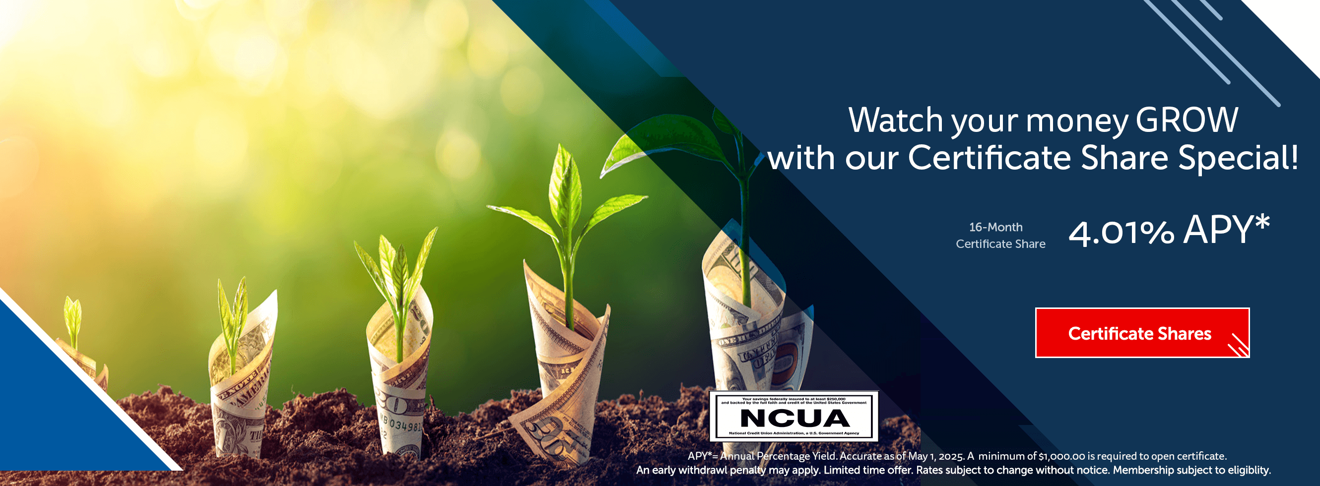 Watch your money GROW 