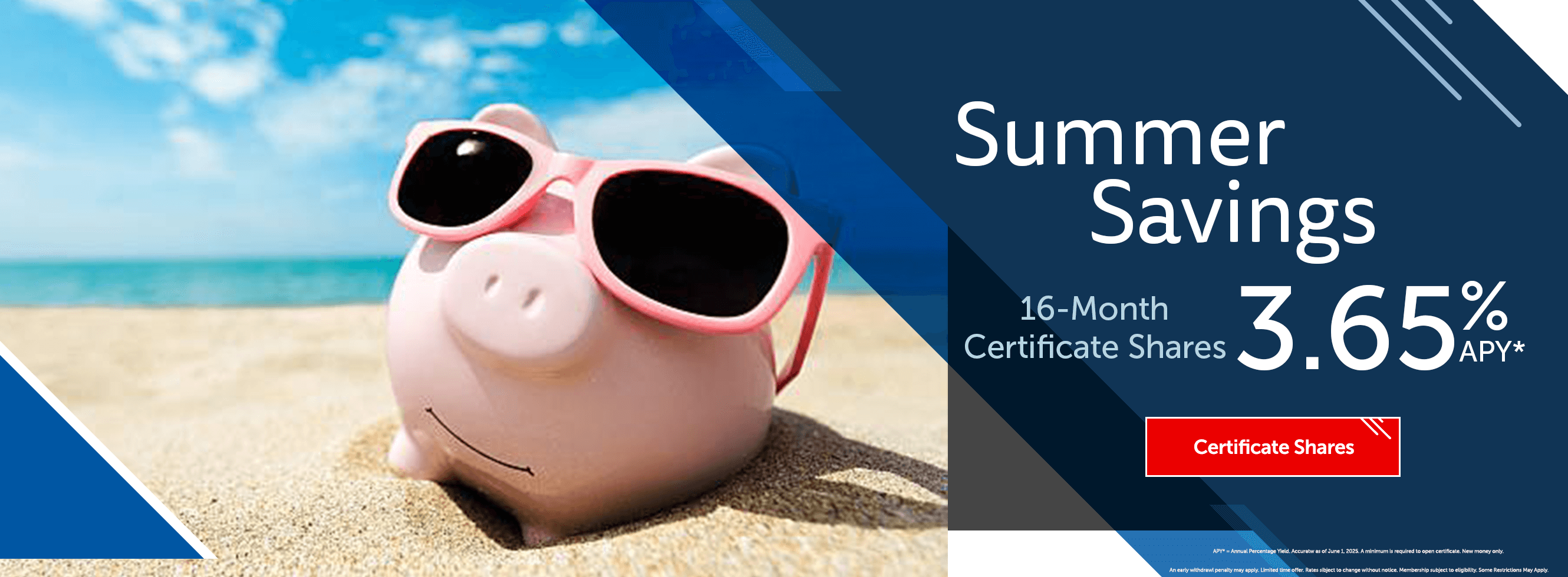 Summer Savings 