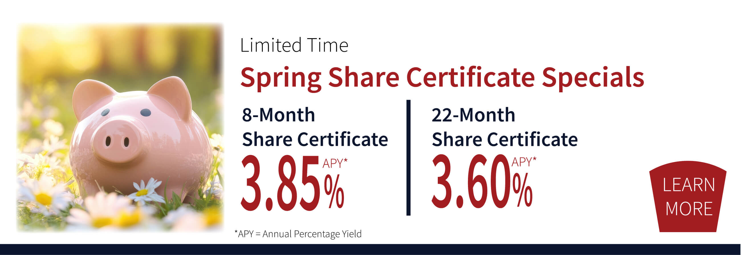 8 and 22 Month Share Certificate Specials