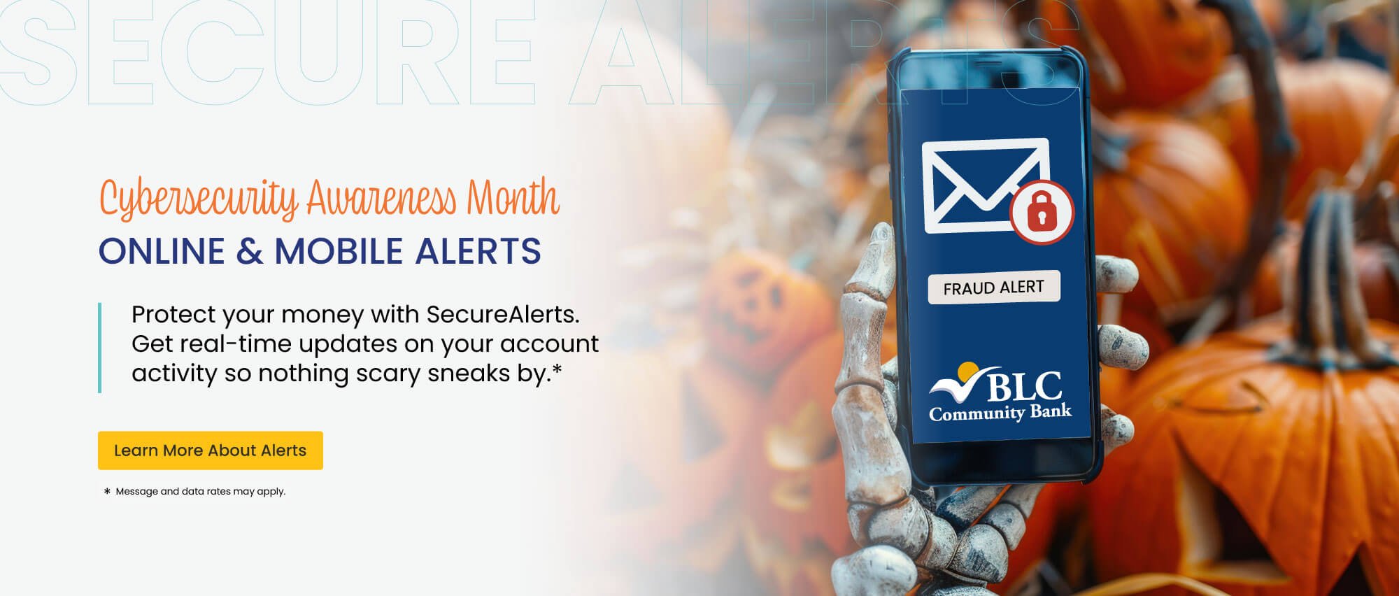 Know the moment something happens in your accounts with online and mobile banking alerts. 
