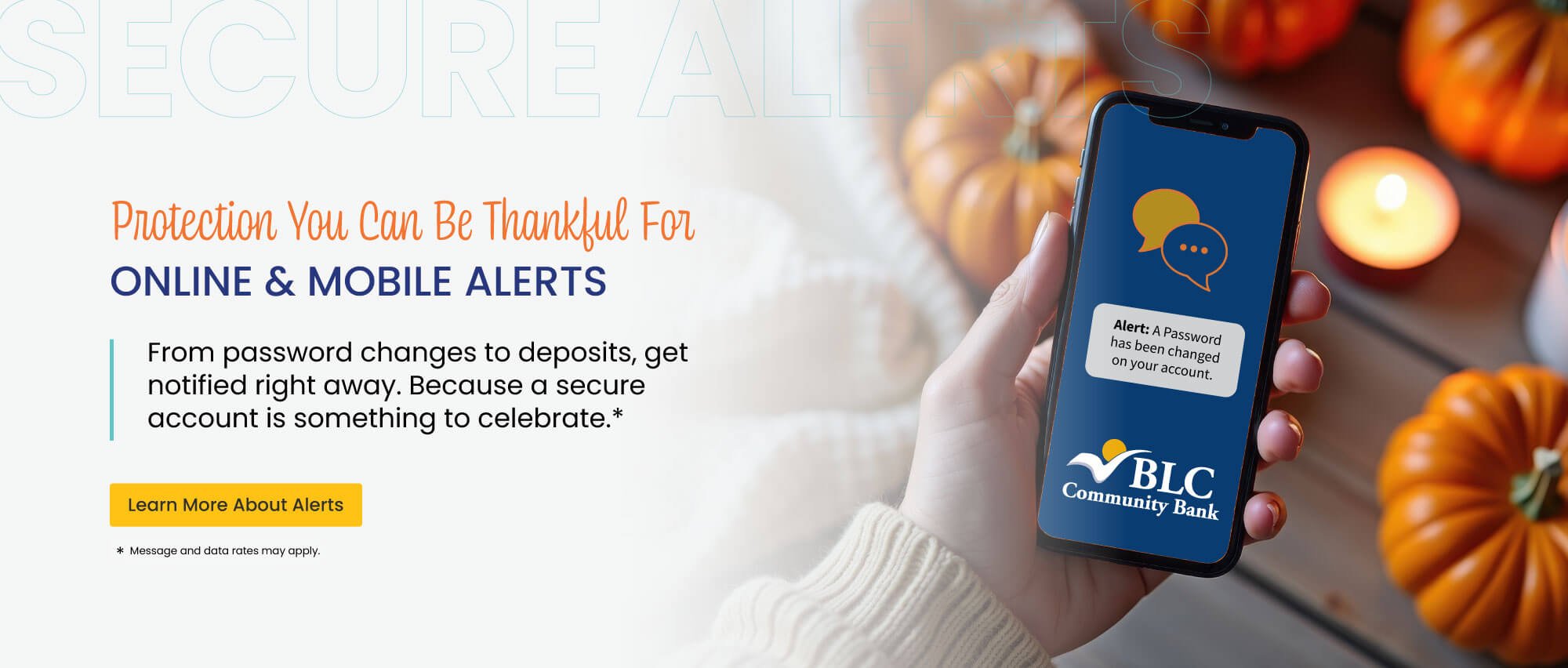 Know the moment something happens in your accounts with online and mobile banking alerts. 