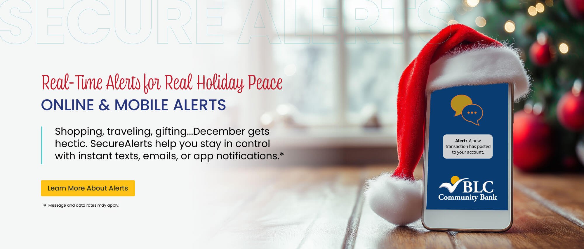 Know the moment something happens in your accounts with online and mobile banking alerts. 