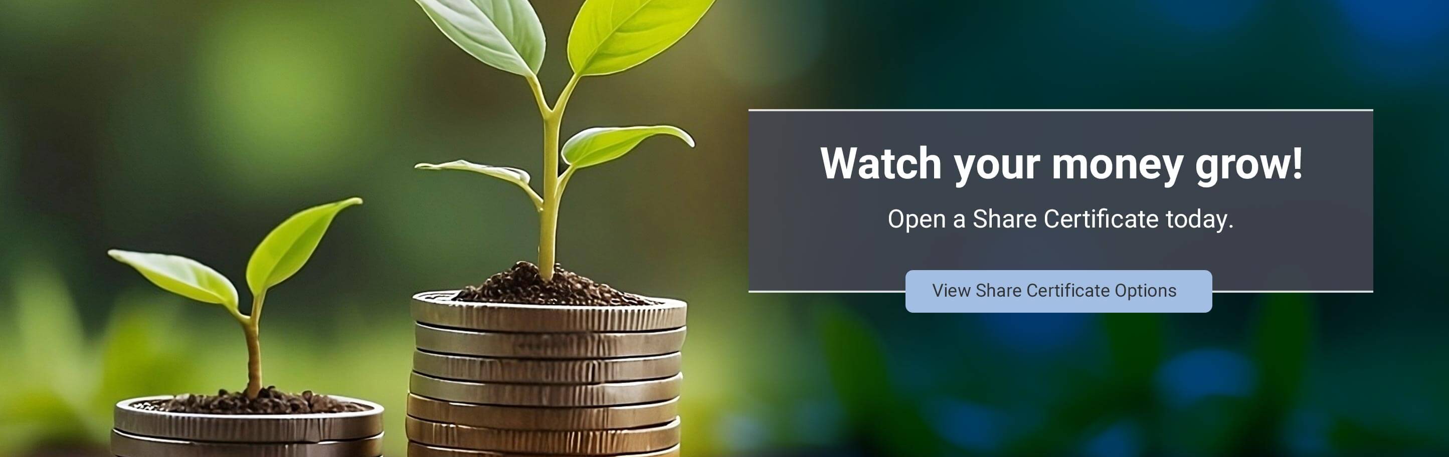 Watch your money grow! Open a Share Certificate today. View Share Certificate Options