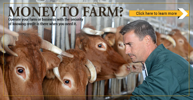 Money to farm? Operate your farm or business with the security of knowing credit is there when you need it.