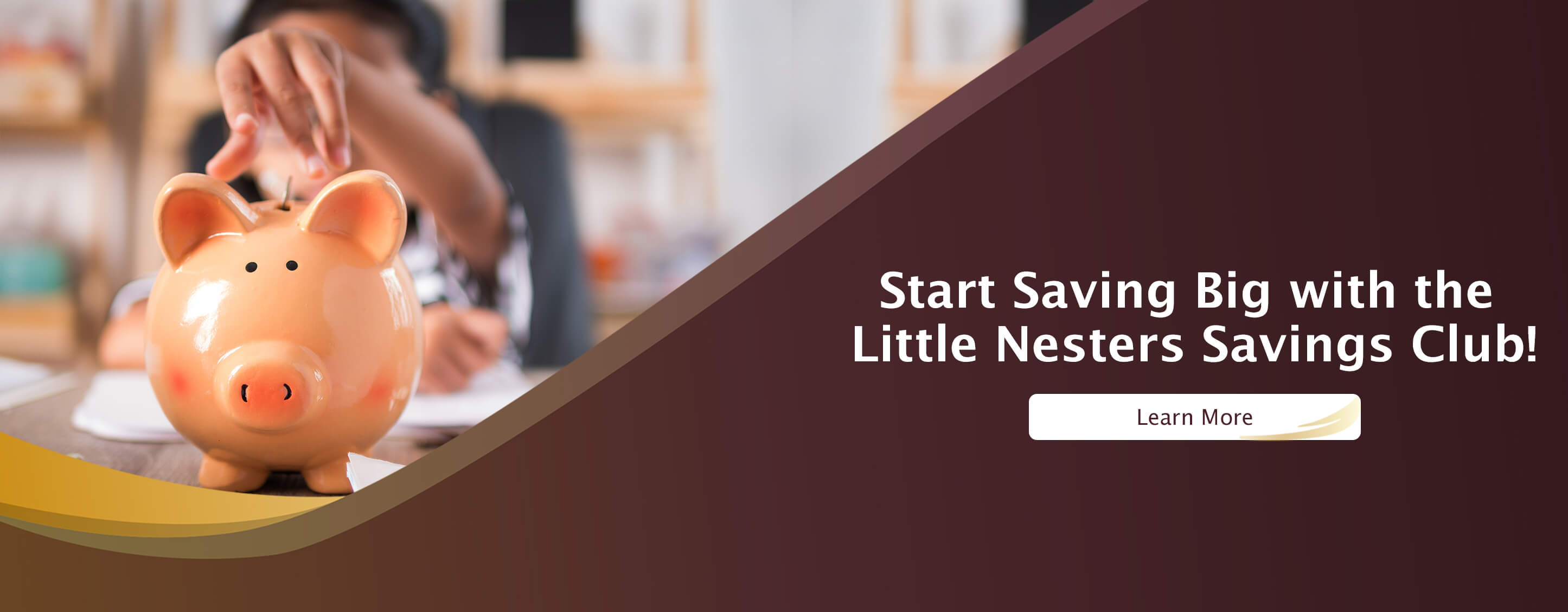 Little Nesters Savings